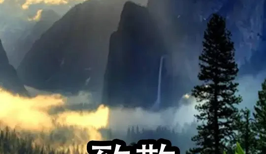 慢热型候鸟航线